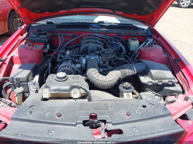 2008 FORD MUSTANG 1ZVHT80N285196572 Photo 9