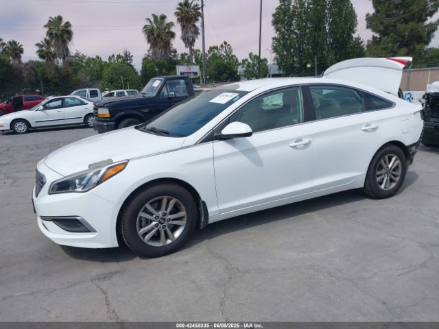 5NPE24AF3HH586394 Hyundai Sonata