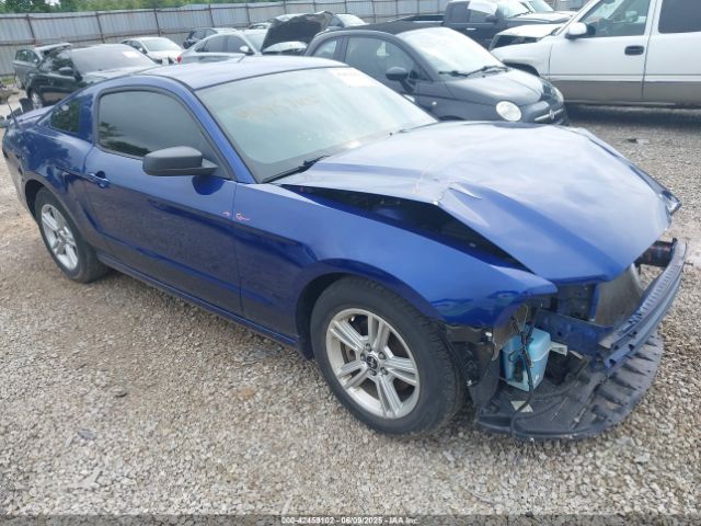 2013 FORD MUSTANG 1ZVBP8AM3D5215494