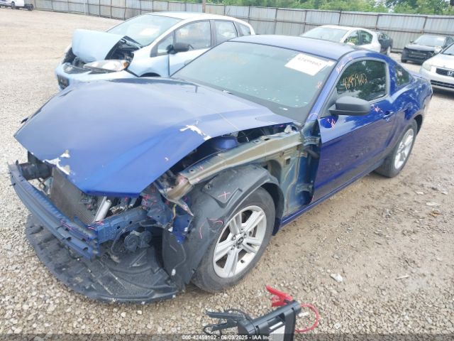 2013 FORD MUSTANG 1ZVBP8AM3D5215494 Photo 1