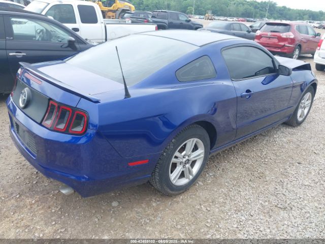 2013 FORD MUSTANG 1ZVBP8AM3D5215494 Photo 3