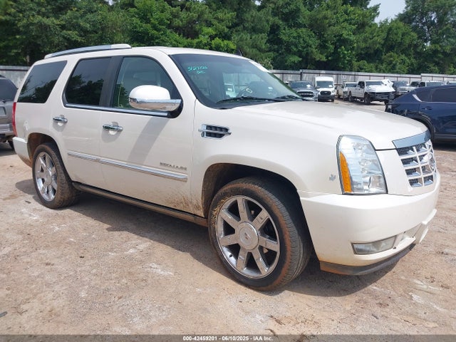 2010 CADILLAC ESCALADE 1GYUCCEFXAR222401 Photo 0