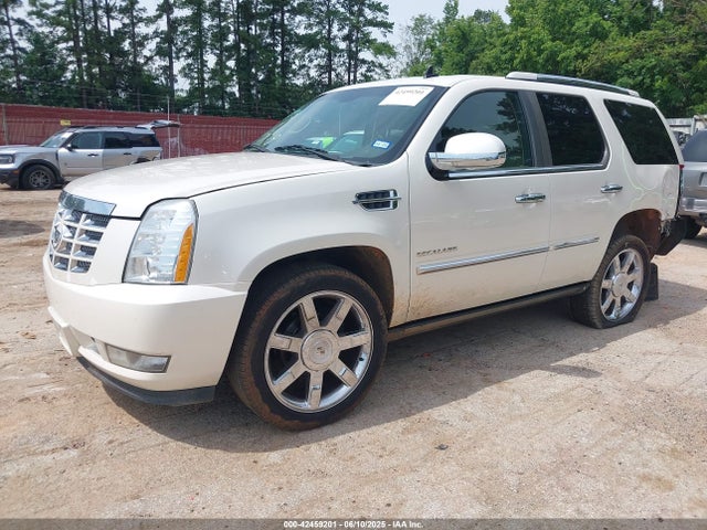 2010 CADILLAC ESCALADE 1GYUCCEFXAR222401 Photo 1