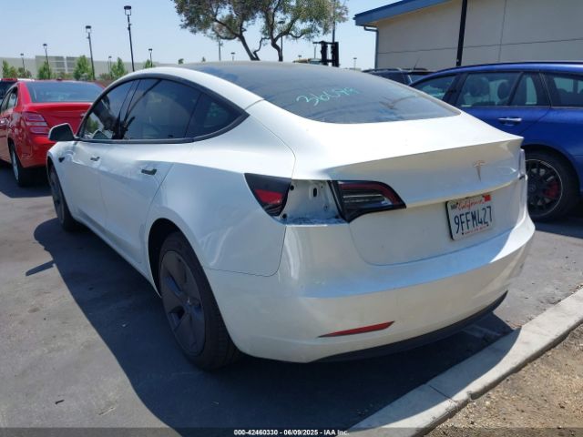 2023 TESLA MODEL 3 5YJ3E1EA5PF491361 Photo 2