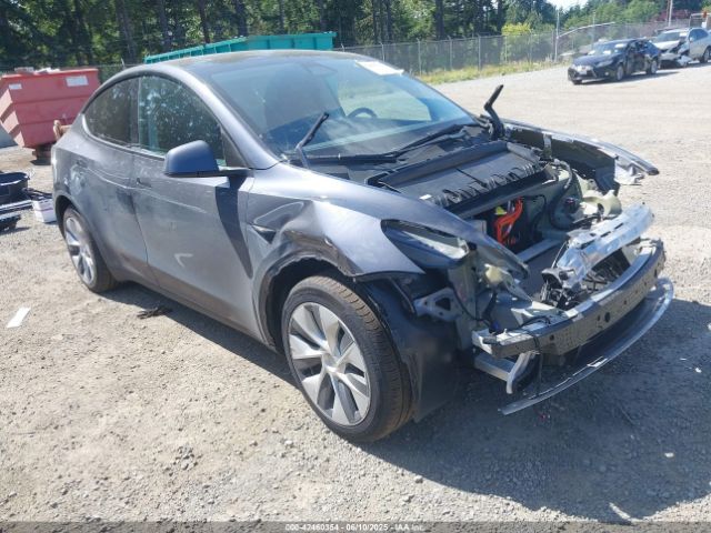 2023 TESLA MODEL Y 7SAYGAEE2PF910479