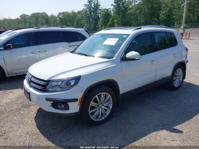 WVGBV7AX9GW529044 Volkswagen Tiguan