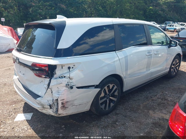 Honda Odyssey Ex-l 2025 5FNRL6H61SB056897 Image 4