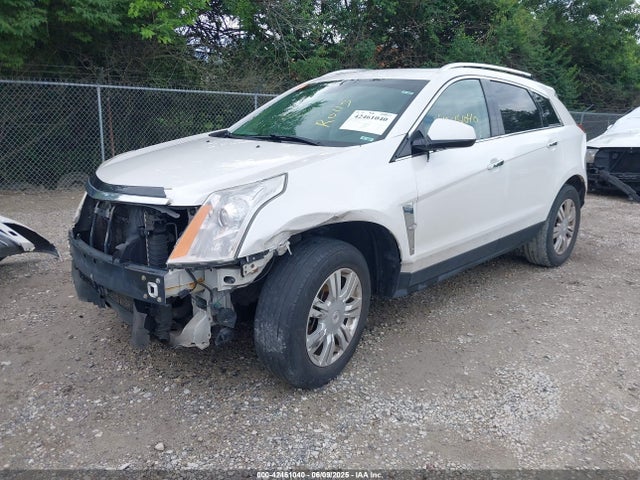 2010 CADILLAC SRX 3GYFNBEY0AS563561 Photo 1