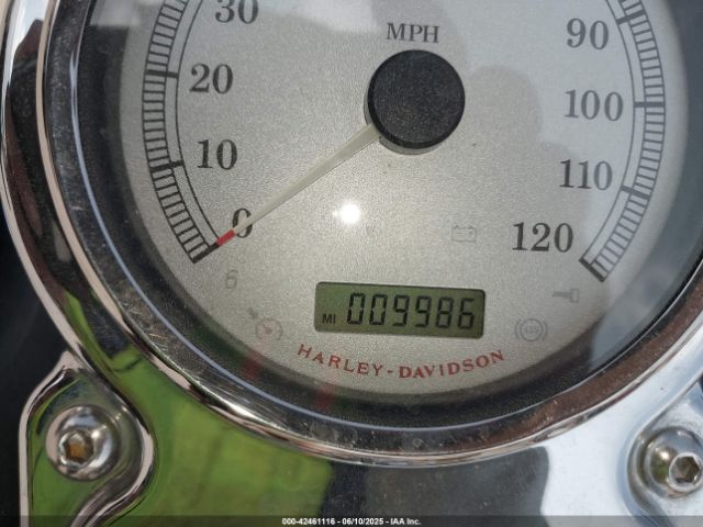 2010 HARLEY-DAVIDSON FXDF 1HD1GY412AC324180 Photo 6