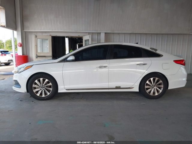 5NPE34AF0FH117449 Hyundai Sonata Sport