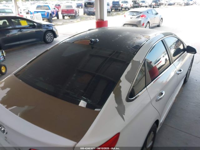 5NPE34AF0FH117449 Hyundai Sonata Sport