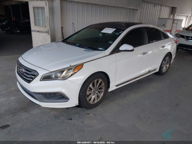 5NPE34AF0FH117449 Hyundai Sonata Sport