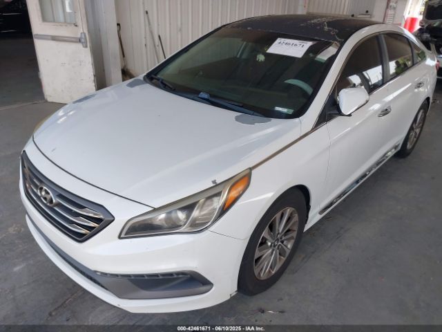 5NPE34AF0FH117449 Hyundai Sonata Sport