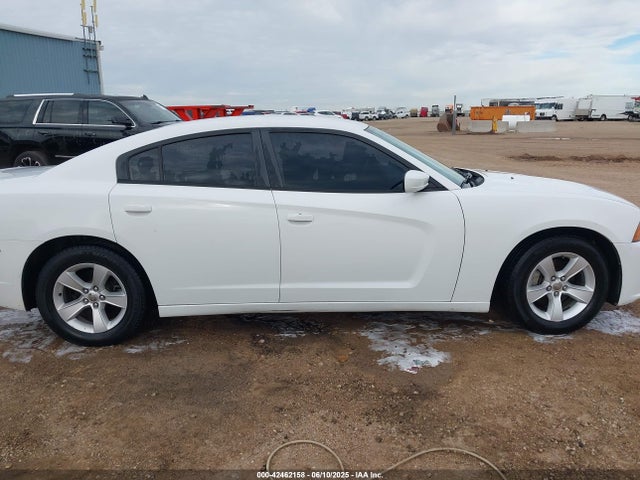 Dodge Charger 2014 2C3CDXBG9EH168134 Image 13