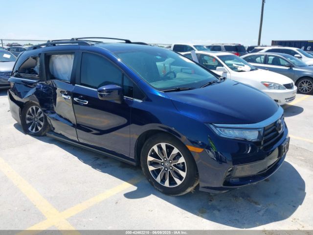 2024 HONDA ODYSSEY 5FNRL6H67RB036891