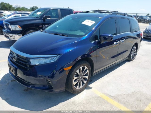 2024 HONDA ODYSSEY 5FNRL6H67RB036891 Photo 1