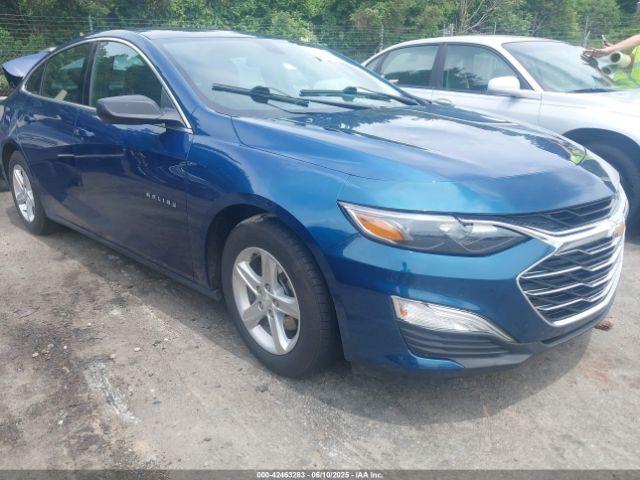 2019 CHEVROLET MALIBU 1G1ZB5ST0KF165707