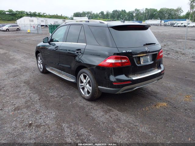 2013 MERCEDES-BENZ ML 350 4JGDA5HB7DA218451 Photo 2