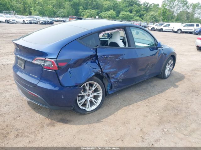 2023 TESLA MODEL Y 7SAYGDEE5PF613627 Photo 3