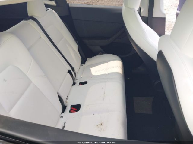 2023 TESLA MODEL Y 7SAYGDEE5PF613627 Photo 7