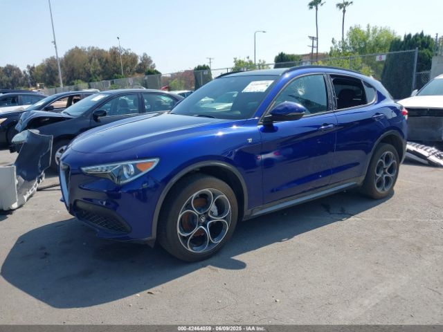 2022 ALFA ROMEO STELVIO ZASPAKBN8N7D36792 Photo 1