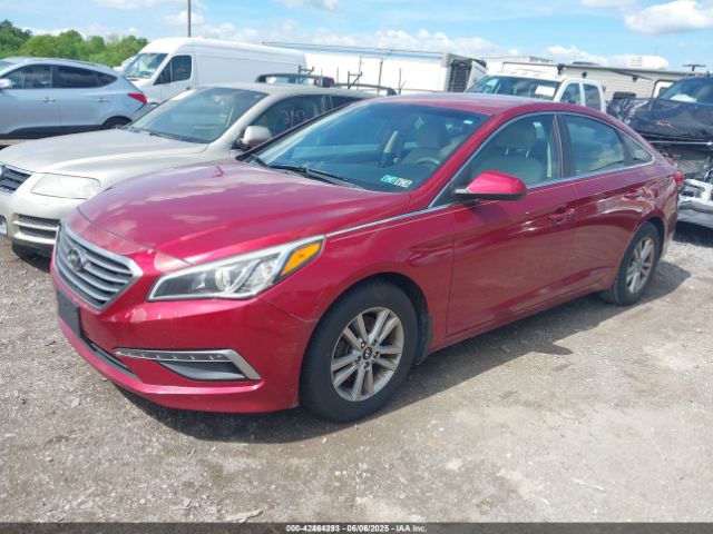 5NPE24AF5FH220613 Hyundai SONATA SE