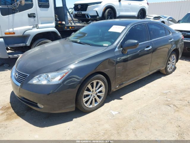 2007 LEXUS ES 350 JTHBJ46G672082749 Photo 1