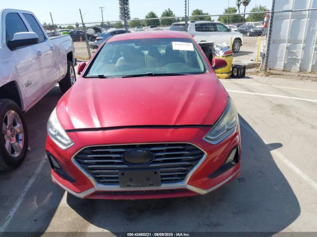 5NPE24AF3JH599281 Hyundai SONATA SE