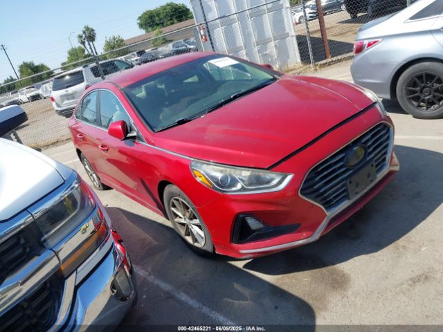 5NPE24AF3JH599281 Hyundai SONATA SE