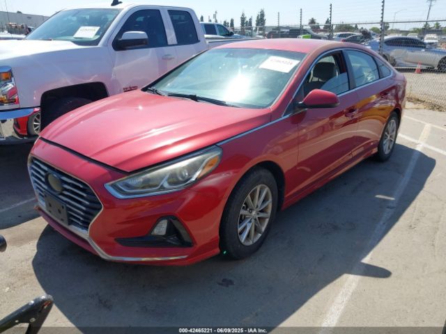 5NPE24AF3JH599281 Hyundai SONATA SE