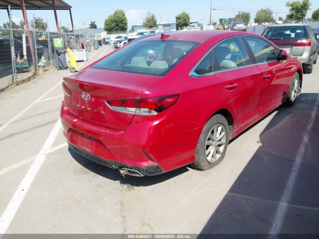5NPE24AF3JH599281 Hyundai SONATA SE