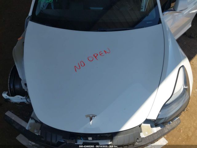 2019 TESLA MODEL 3 5YJ3E1EB9KF511161 Photo 9