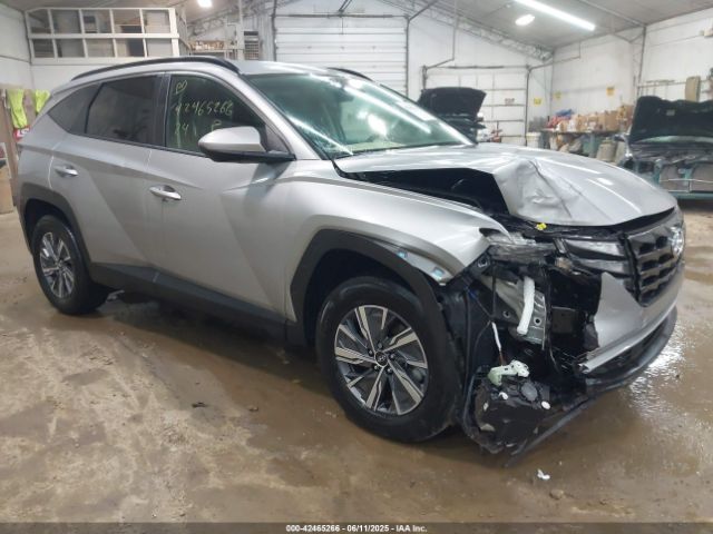 2024 HYUNDAI TUCSON HYBRID KM8JBCD12RU172101