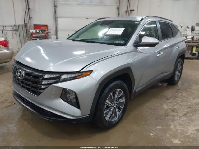 2024 HYUNDAI TUCSON HYBRID KM8JBCD12RU172101 Photo 1