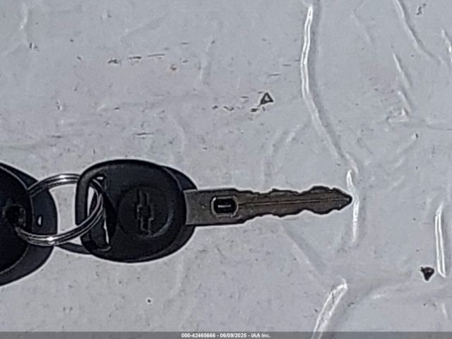 2004 CHEVROLET CORVETTE 1G1YY22G445103330 Photo 10