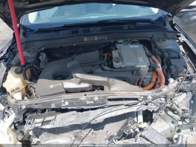 3FA6P0MU4KR241524 Ford 2019