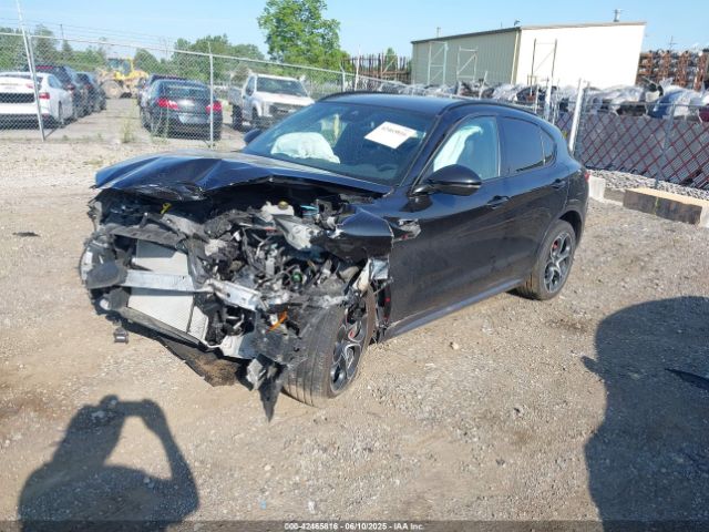 2023 ALFA ROMEO STELVIO ZASPAKBN6P7D58020 Photo 1