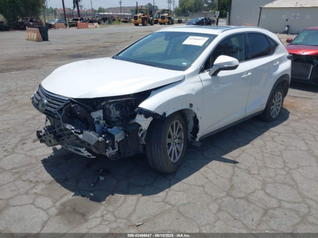 2021 LEXUS NX 300H JTJDJRDZ0M2167722 Photo 1