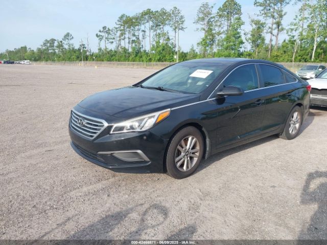 5NPE24AF3GH402053 Hyundai SONATA SE