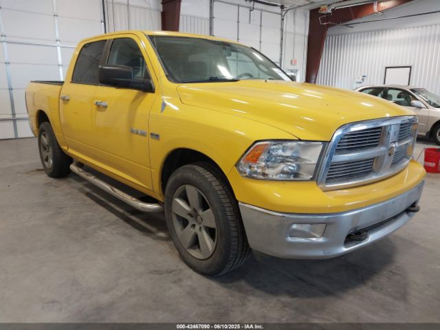 2009 DODGE RAM 1500 1D3HB13T99S747517