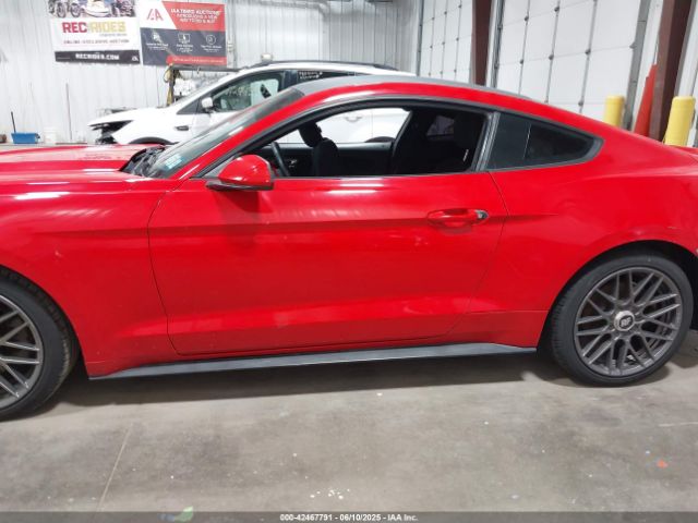 1FA6P8AM8G5293266 Ford Mustang V6