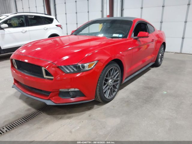 1FA6P8AM8G5293266 Ford Mustang V6
