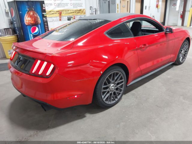 1FA6P8AM8G5293266 Ford Mustang V6
