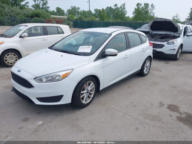 1FADP3K24GL325181 Ford FOCUS SE