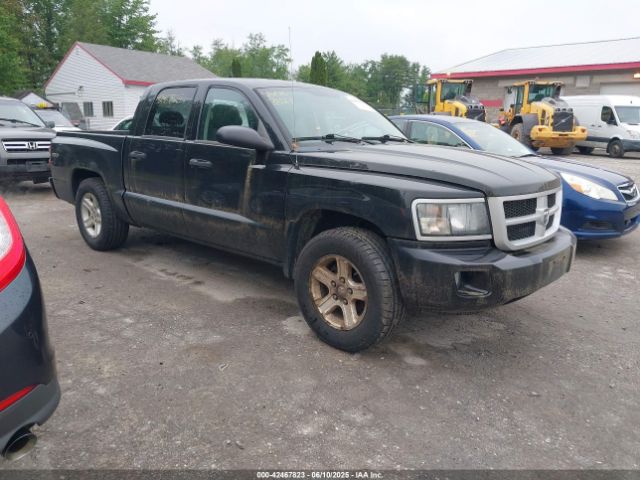 2010 DODGE DAKOTA 1D7CW3GK8AS202813