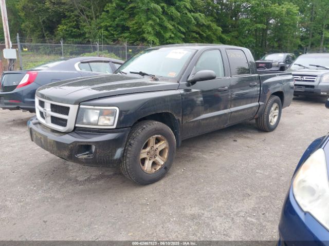 2010 DODGE DAKOTA 1D7CW3GK8AS202813 Photo 1