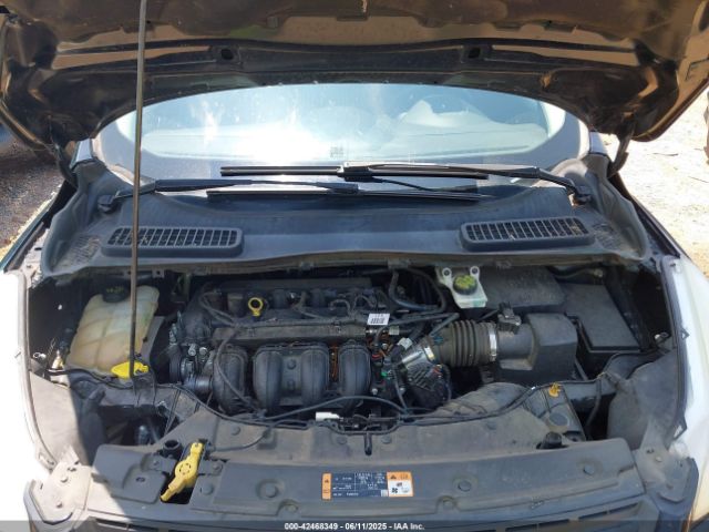 1FMCU0F71GUA73141 Ford Escape