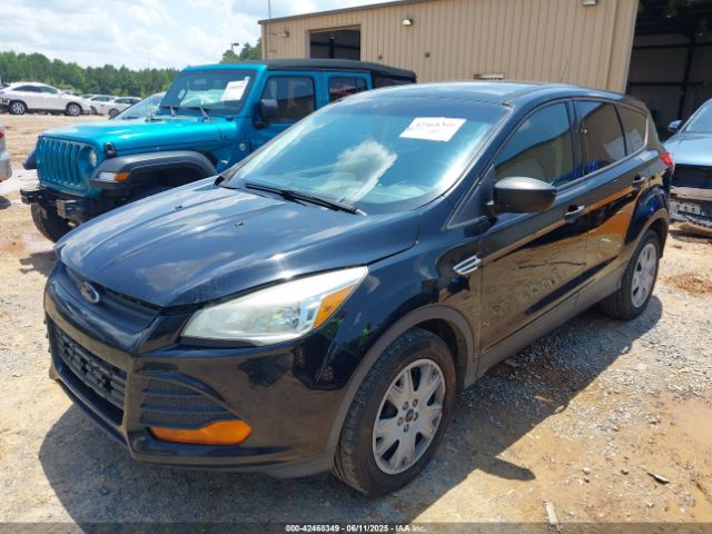 1FMCU0F71GUA73141 Ford Escape