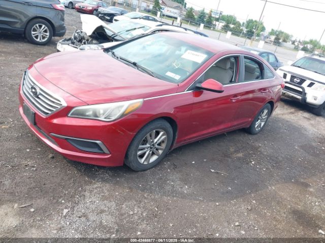 5NPE24AF3GH388462 Hyundai Sonata