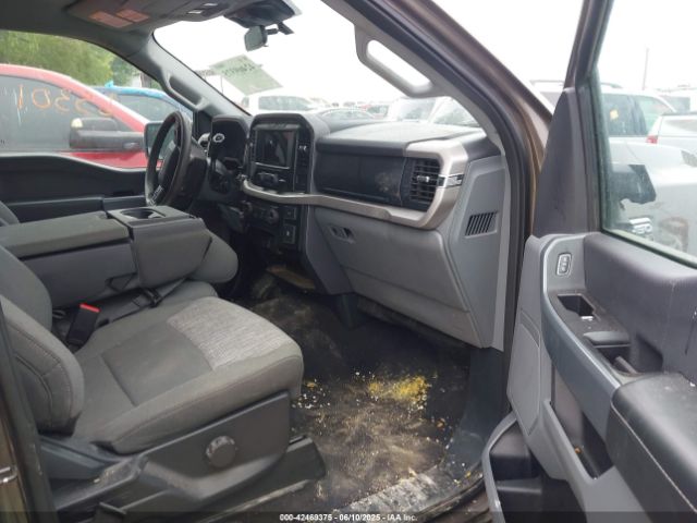 1FTFW1E51PFC34285 Ford F-150 Xlt